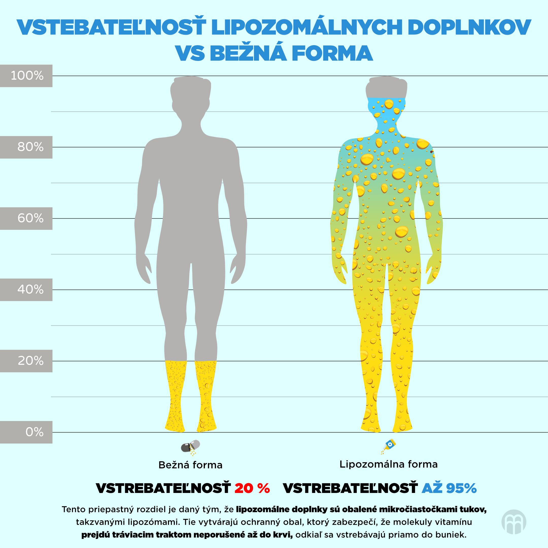 vstrebavani_lipozomu_infografika1_cz_cz